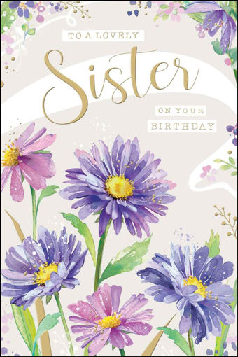 Picture of TO A LOVELY SISTER ON YOUR BIRTHDAY CARD